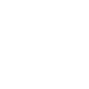 shopify-icon